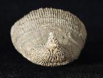 Placosmilia vidali (MALLADA 1892) - Bild © FossNet FossilienStore